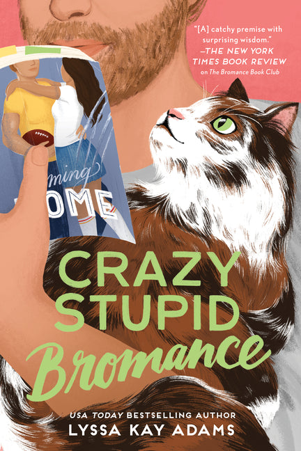 Crazy Stupid Bromance - Ingram